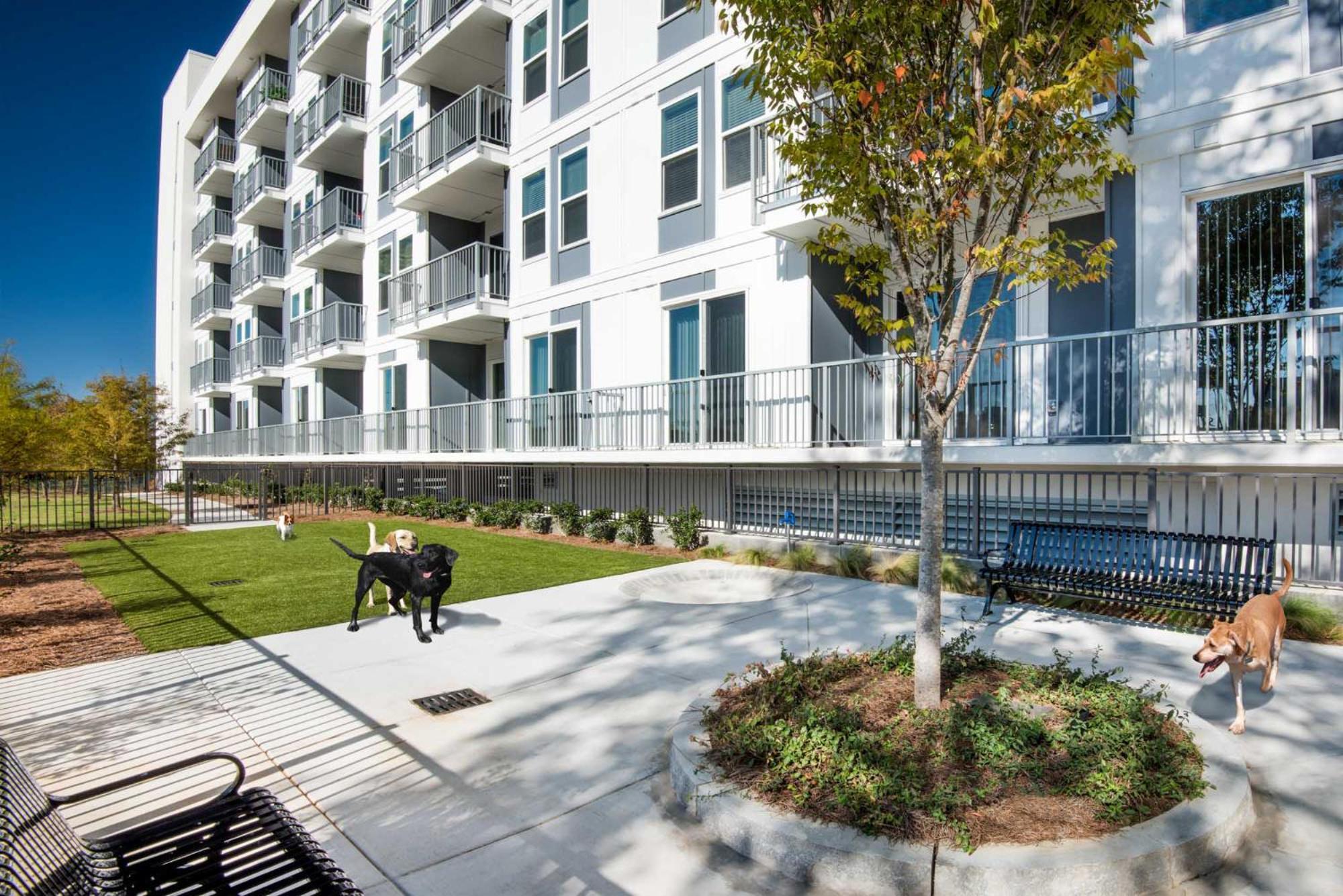 Spectacular Apartments By Bca Furnished Apartments Atlanta Cameră foto